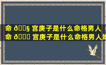 命 🐧 宫庚子是什么命格男人（命 🍁 宫庚子是什么命格男人婚姻）